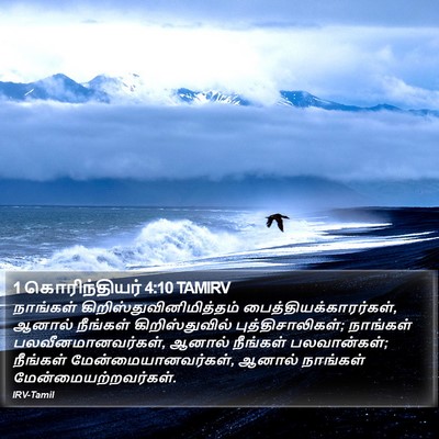 1 கொரிந்தியர் 4:10 TAMIRV Bible Verse Image