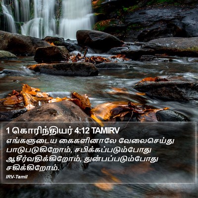 1 கொரிந்தியர் 4:12 TAMIRV Bible Verse Image