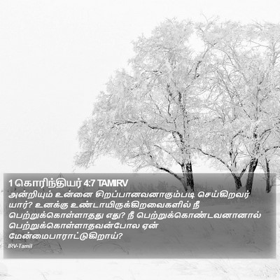1 கொரிந்தியர் 4:7 TAMIRV Bible Verse Image