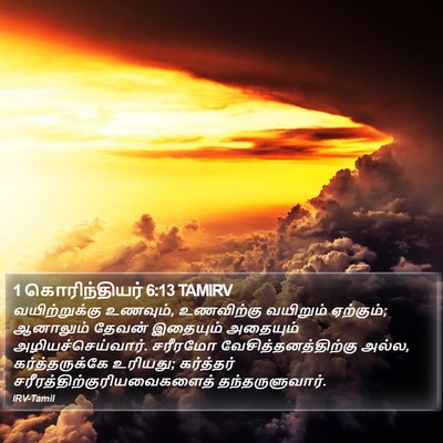 1 கொரிந்தியர் 6:13 TAMIRV Bible Verse Image