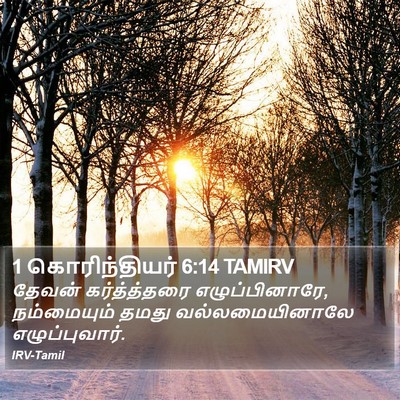 1 கொரிந்தியர் 6:14 TAMIRV Bible Verse Image