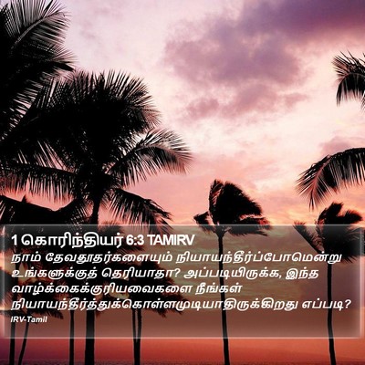 1 கொரிந்தியர் 6:3 TAMIRV Bible Verse Image