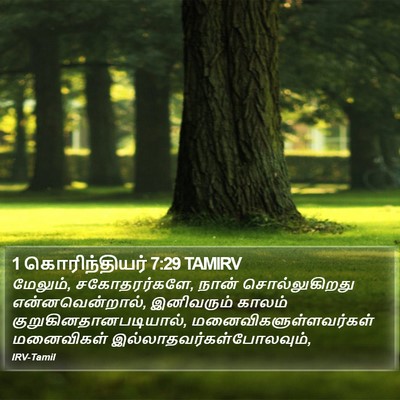 1 கொரிந்தியர் 7:29 TAMIRV Bible Verse Image