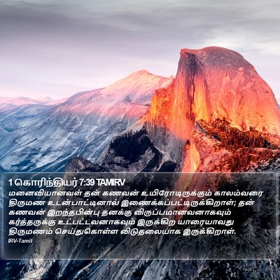 1 கொரிந்தியர் 7:39 TAMIRV Bible Verse Image