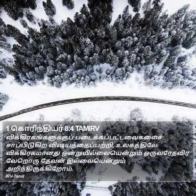 1 கொரிந்தியர் 8:4 TAMIRV Bible Verse Image