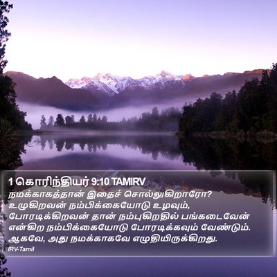 1 கொரிந்தியர் 9:10 TAMIRV Bible Verse Image