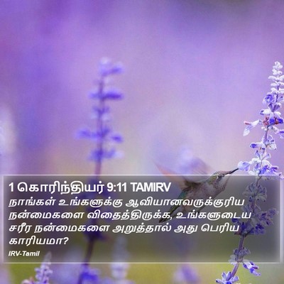 1 கொரிந்தியர் 9:11 TAMIRV Bible Verse Image