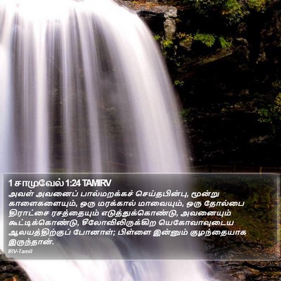 1 சாமுவேல் 1:24 TAMIRV Bible Verse Image
