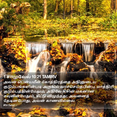 1 சாமுவேல் 10:21 TAMIRV Bible Verse Image