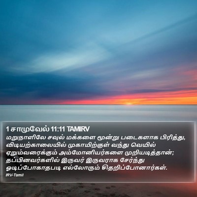 1 சாமுவேல் 11:11 TAMIRV Bible Verse Image