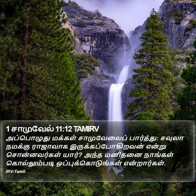 1 சாமுவேல் 11:12 TAMIRV Bible Verse Image