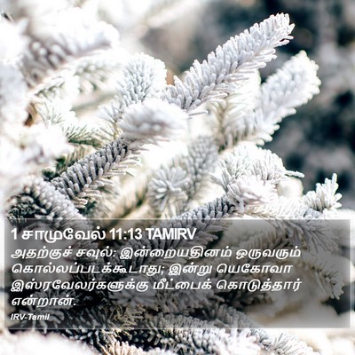 1 சாமுவேல் 11:13 TAMIRV Bible Verse Image