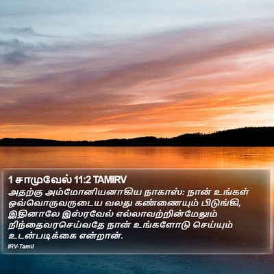 1 சாமுவேல் 11:2 TAMIRV Bible Verse Image