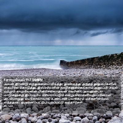 1 சாமுவேல் 11:7 TAMIRV Bible Verse Image