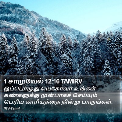 1 சாமுவேல் 12:16 TAMIRV Bible Verse Image