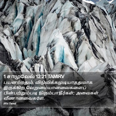 1 சாமுவேல் 12:21 TAMIRV Bible Verse Image