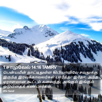 1 சாமுவேல் 14:16 TAMIRV Bible Verse Image