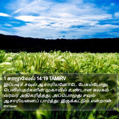 1 சாமுவேல் 14:19 TAMIRV Bible Verse Image