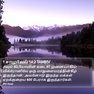 1 சாமுவேல் 14:2 TAMIRV Bible Verse Image