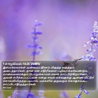 1 சாமுவேல் 14:24 TAMIRV Bible Verse Image
