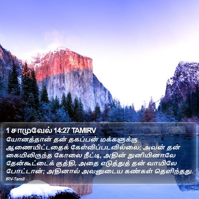 1 சாமுவேல் 14:27 TAMIRV Bible Verse Image