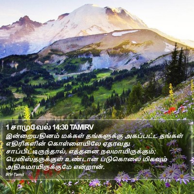 1 சாமுவேல் 14:30 TAMIRV Bible Verse Image
