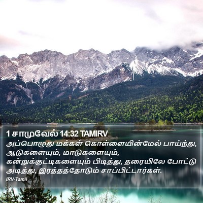 1 சாமுவேல் 14:32 TAMIRV Bible Verse Image