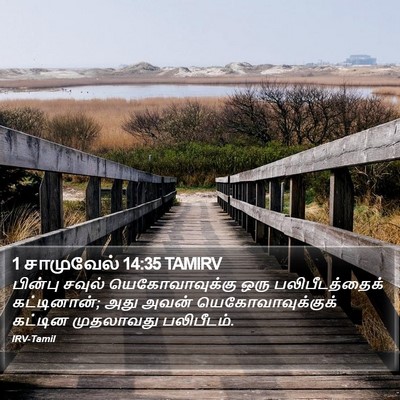 1 சாமுவேல் 14:35 TAMIRV Bible Verse Image