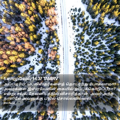 1 சாமுவேல் 14:37 TAMIRV Bible Verse Image