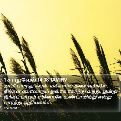 1 சாமுவேல் 14:38 TAMIRV Bible Verse Image
