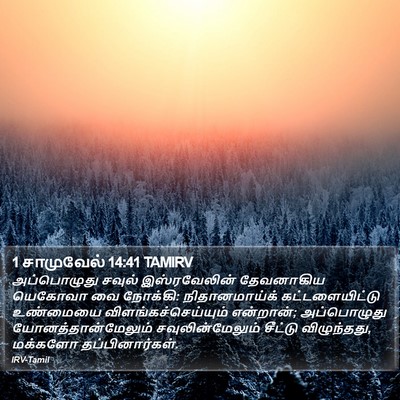 1 சாமுவேல் 14:41 TAMIRV Bible Verse Image