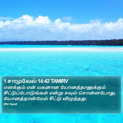 1 சாமுவேல் 14:42 TAMIRV Bible Verse Image
