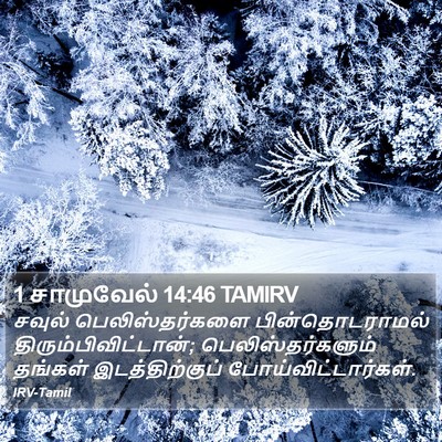 1 சாமுவேல் 14:46 TAMIRV Bible Verse Image