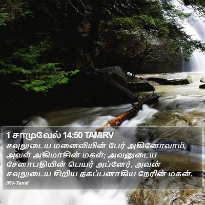 1 சாமுவேல் 14:50 TAMIRV Bible Verse Image