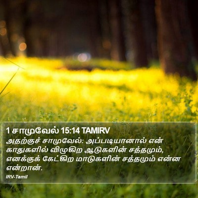 1 சாமுவேல் 15:14 TAMIRV Bible Verse Image