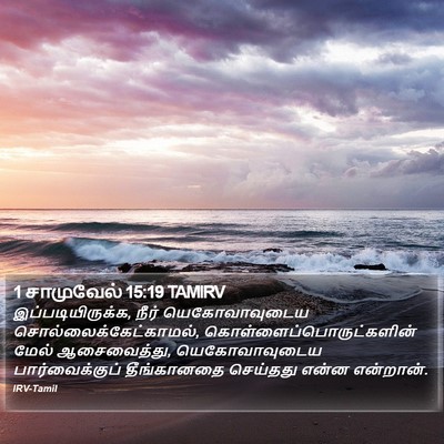 1 சாமுவேல் 15:19 TAMIRV Bible Verse Image