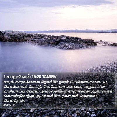 1 சாமுவேல் 15:20 TAMIRV Bible Verse Image
