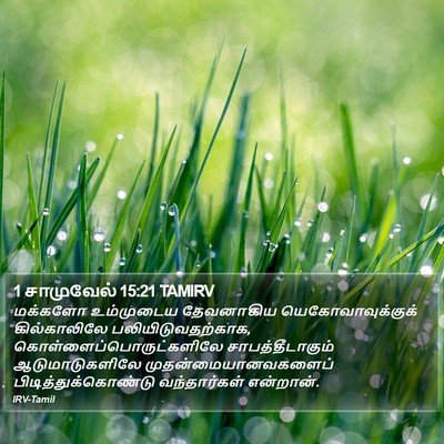 1 சாமுவேல் 15:21 TAMIRV Bible Verse Image
