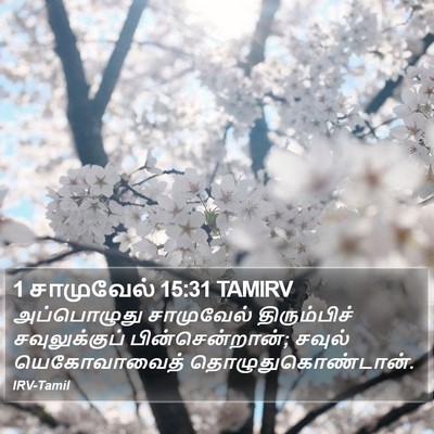 1 சாமுவேல் 15:31 TAMIRV Bible Verse Image