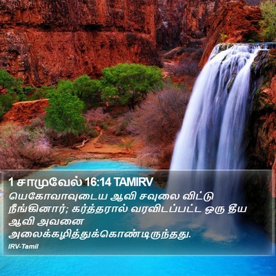 1 சாமுவேல் 16:14 TAMIRV Bible Verse Image