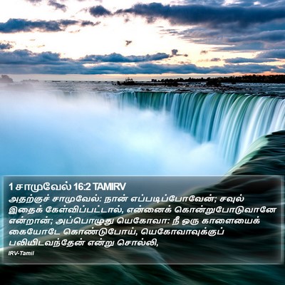 1 சாமுவேல் 16:2 TAMIRV Bible Verse Image