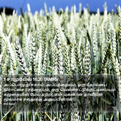 1 சாமுவேல் 16:20 TAMIRV Bible Verse Image