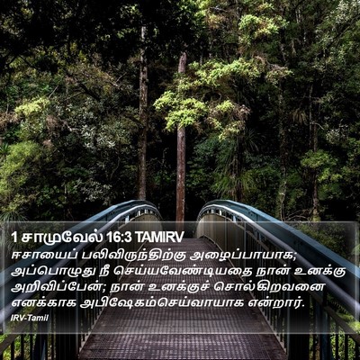 1 சாமுவேல் 16:3 TAMIRV Bible Verse Image