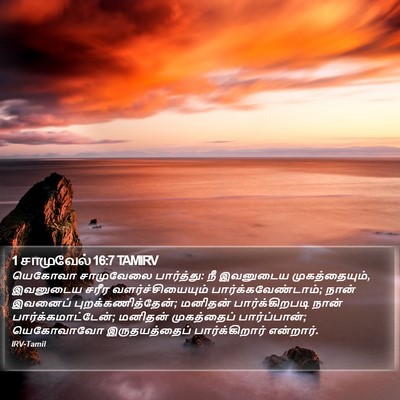 1 சாமுவேல் 16:7 TAMIRV Bible Verse Image