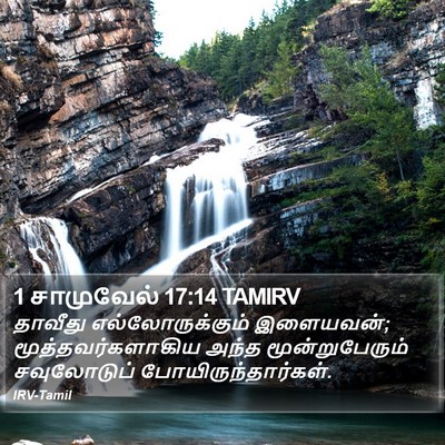 1 சாமுவேல் 17:14 TAMIRV Bible Verse Image