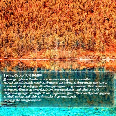 1 சாமுவேல் 17:46 TAMIRV Bible Verse Image