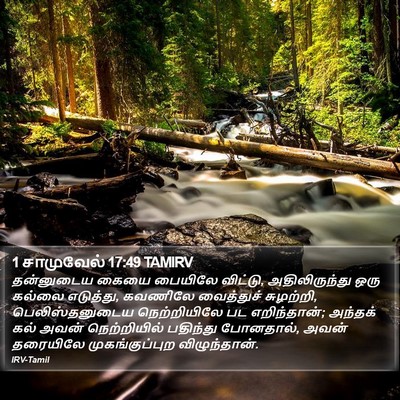 1 சாமுவேல் 17:49 TAMIRV Bible Verse Image