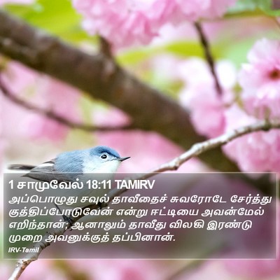 1 சாமுவேல் 18:11 TAMIRV Bible Verse Image