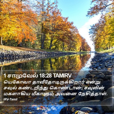 1 சாமுவேல் 18:28 TAMIRV Bible Verse Image