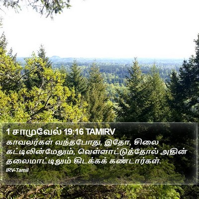 1 சாமுவேல் 19:16 TAMIRV Bible Verse Image